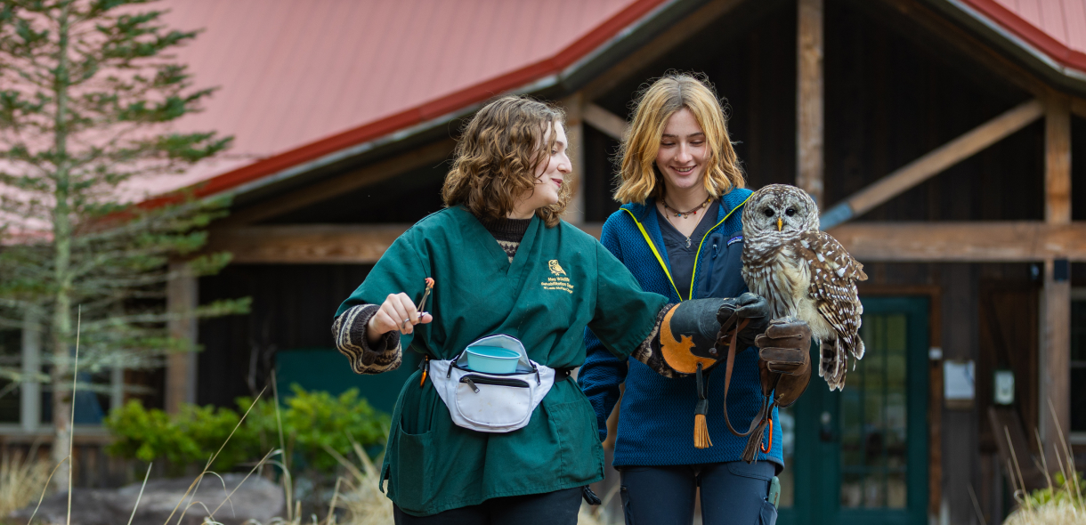 May Wildlife Rehabilitation Center