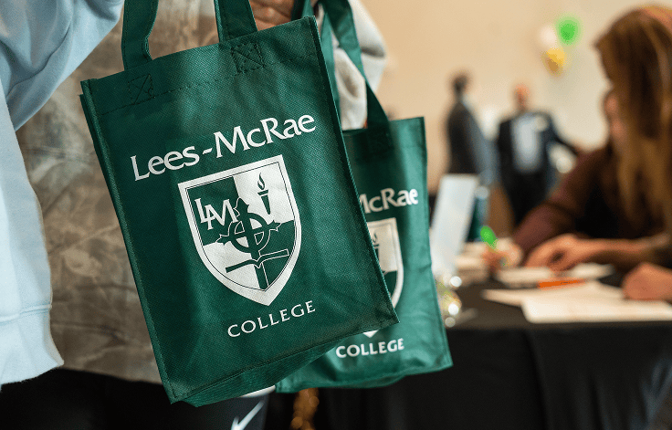 Close up of a green Lees-McRae bag