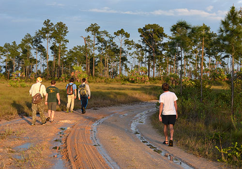 Students walking along a dirt road trail with grasslands and tall trees surrounding them.
